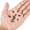 HanTof Self-Tapping Screws 750pcs Phillips Pan Head Carbon Steel Black-2